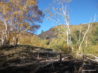 nti Sartorius-04-11-2012 09-29-16
